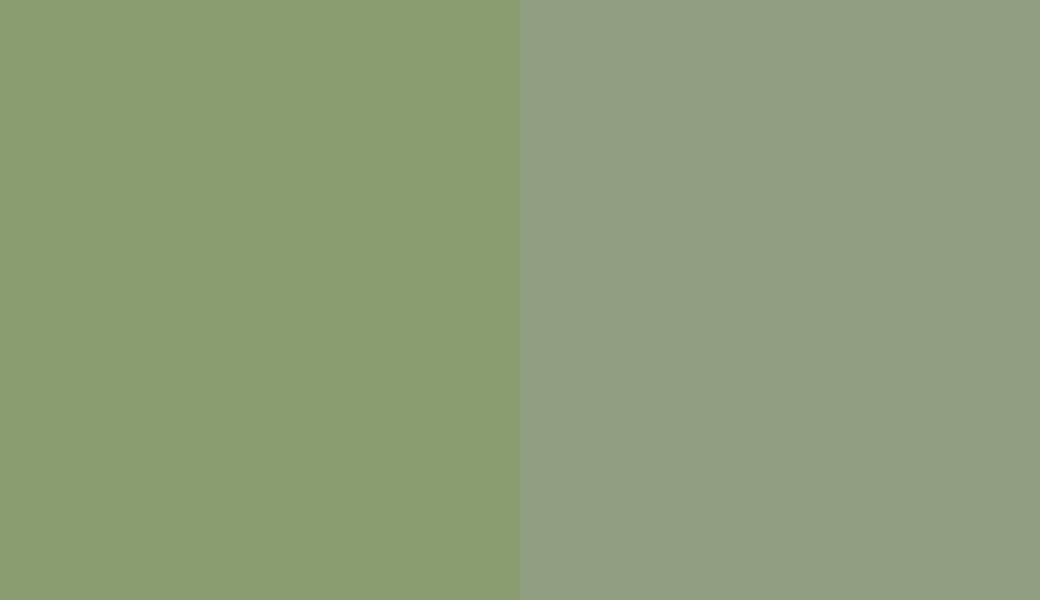 HEX #899D70 to RAL 6021