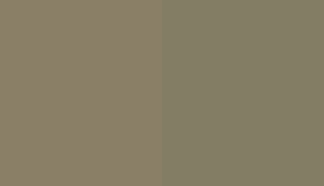 HEX #8A7F66 to RAL 6013 HEX #8A7F66 to RAL 6013