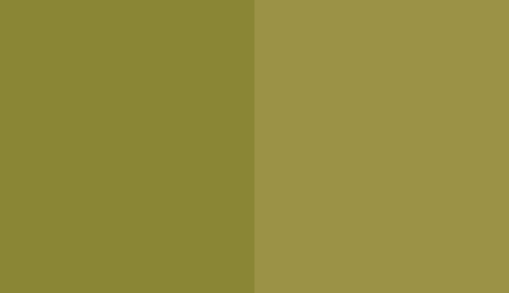 HEX #8A8635 to RAL 100 60 40