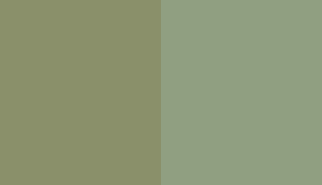 HEX #8A906A to RAL 6021