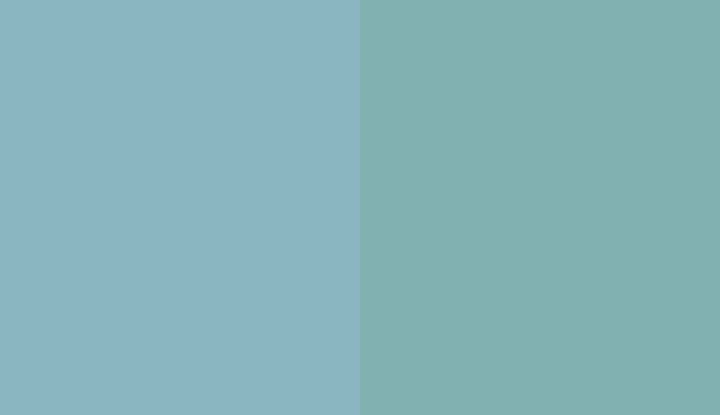 HEX #8AB6C1 to RAL 6034 HEX #8AB6C1 to RAL 6034