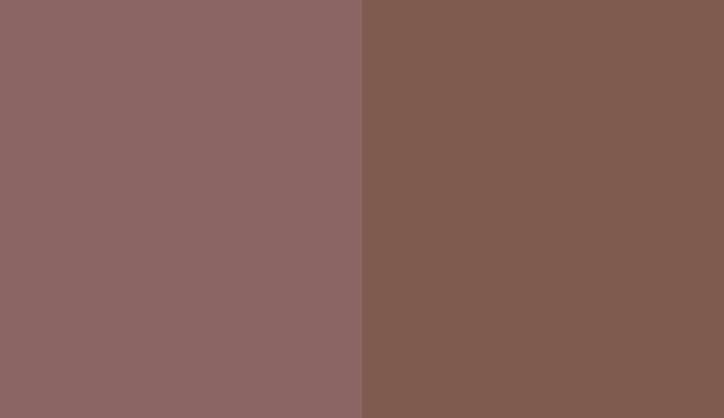 HEX #8B6361 to RAL 8002 HEX #8B6361 to RAL 8002