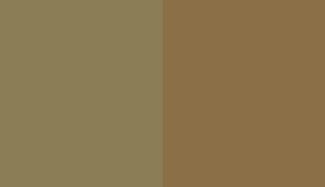 HEX #8B7D56 to RAL 1036 HEX #8B7D56 to RAL 1036