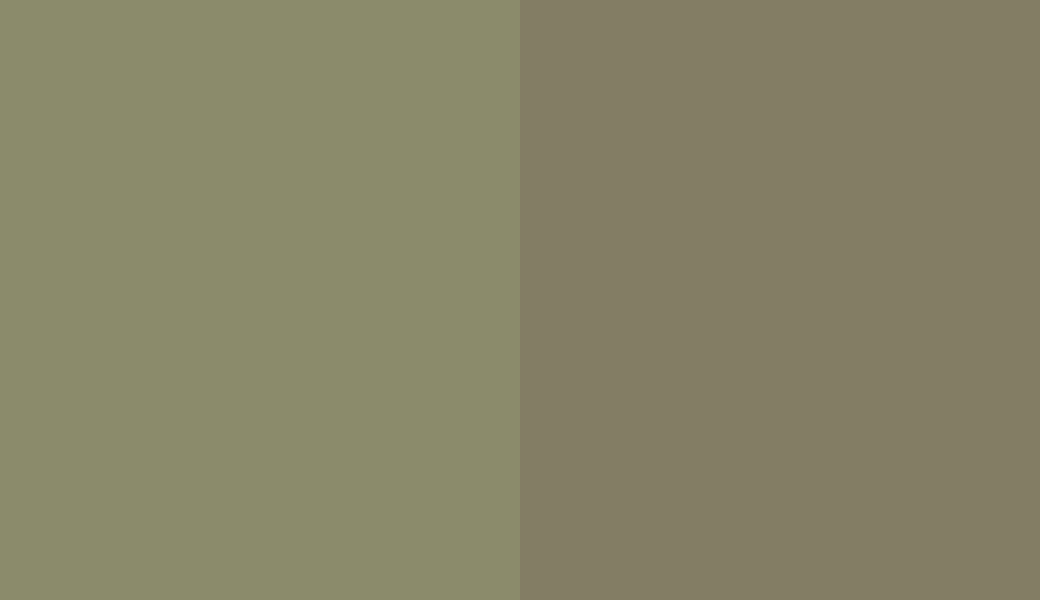 HEX #8B8B6B to RAL 6013 HEX #8B8B6B to RAL 6013