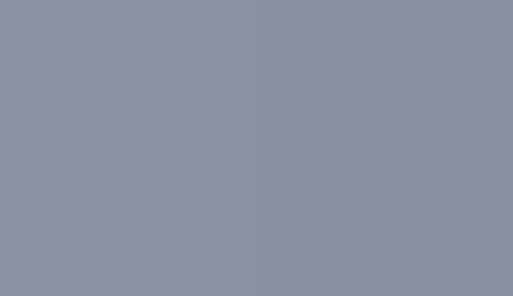 HEX #8B93A3 to RAL 280 60 10