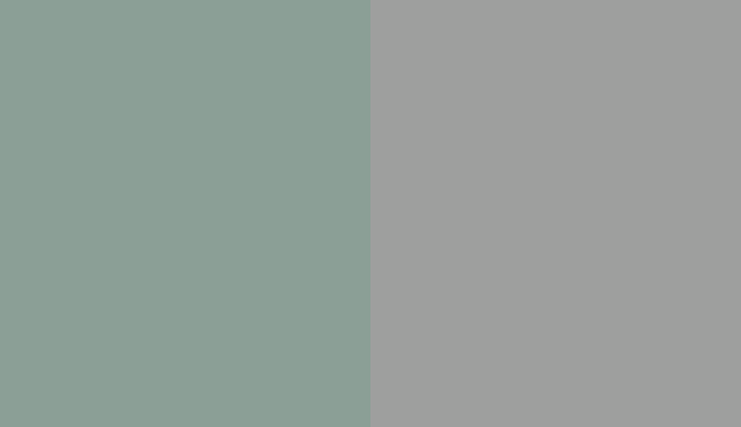 HEX #8B9F96 to RAL 9022