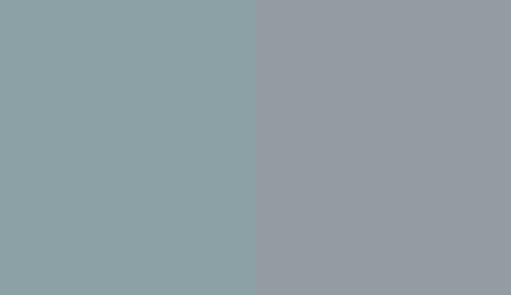 HEX #8BA1A5 to RAL 7001