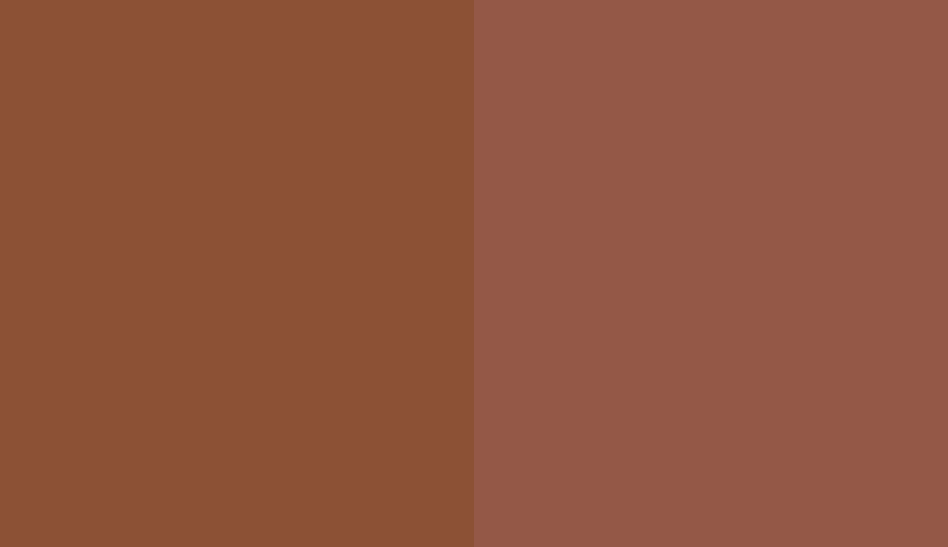 HEX #8C5135 to RAL 8004