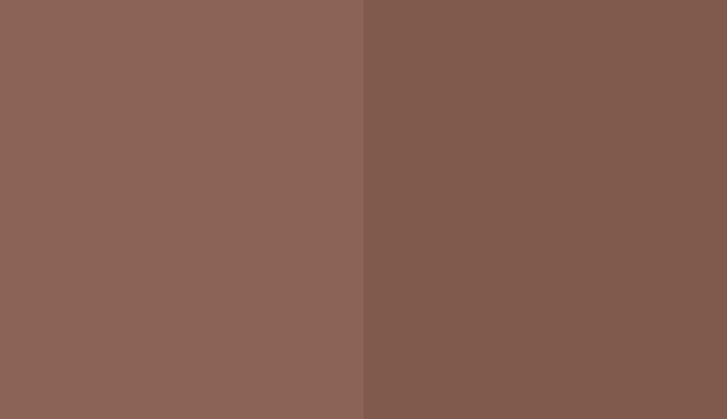 HEX #8C6457 to RAL 8002 HEX #8C6457 to RAL 8002