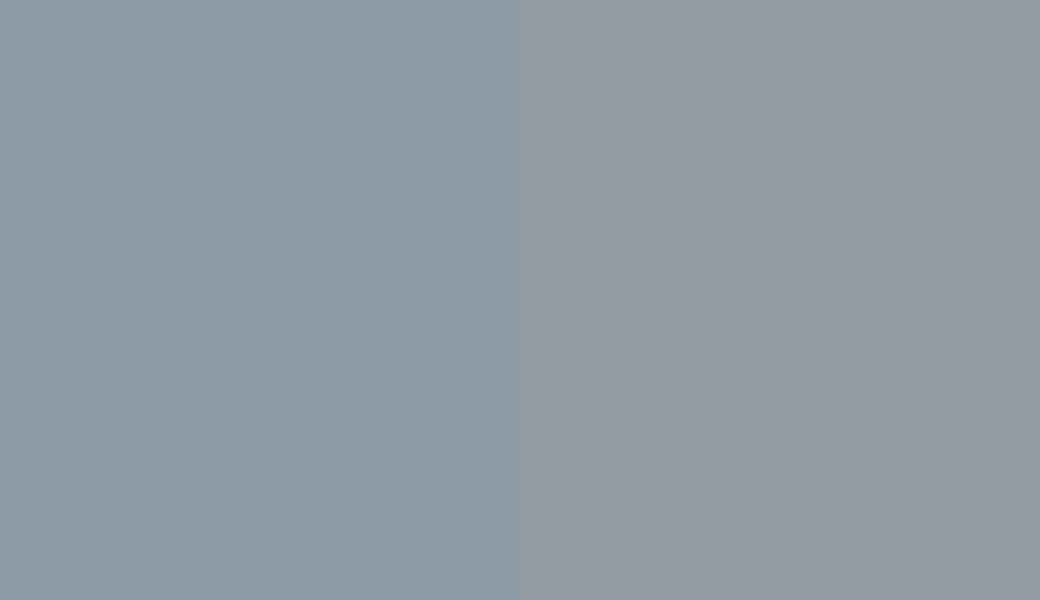 HEX #8C9BA8 to RAL 7001 HEX #8C9BA8 to RAL 7001
