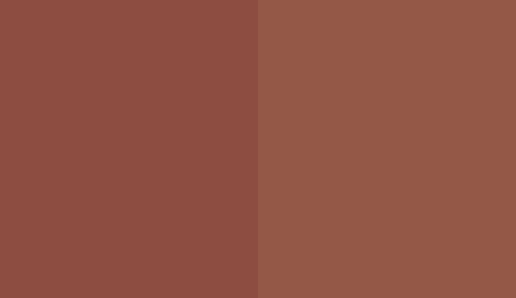 HEX #8D4D41 to RAL 8004