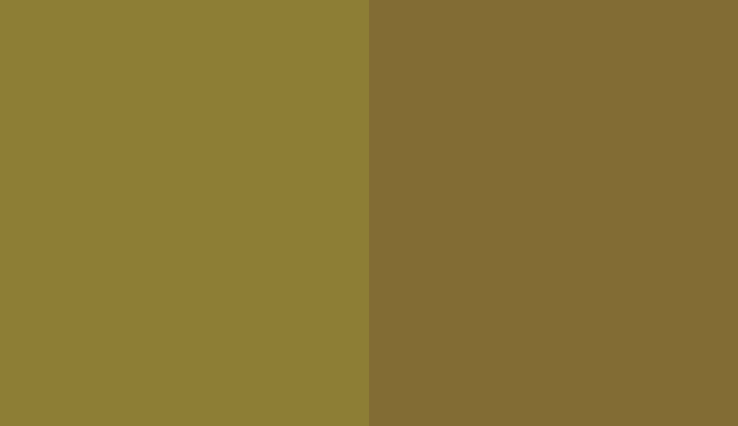 HEX #8D7E35 to RAL 8000
