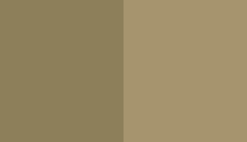 HEX #8D7F59 to RAL 1020 HEX #8D7F59 to RAL 1020