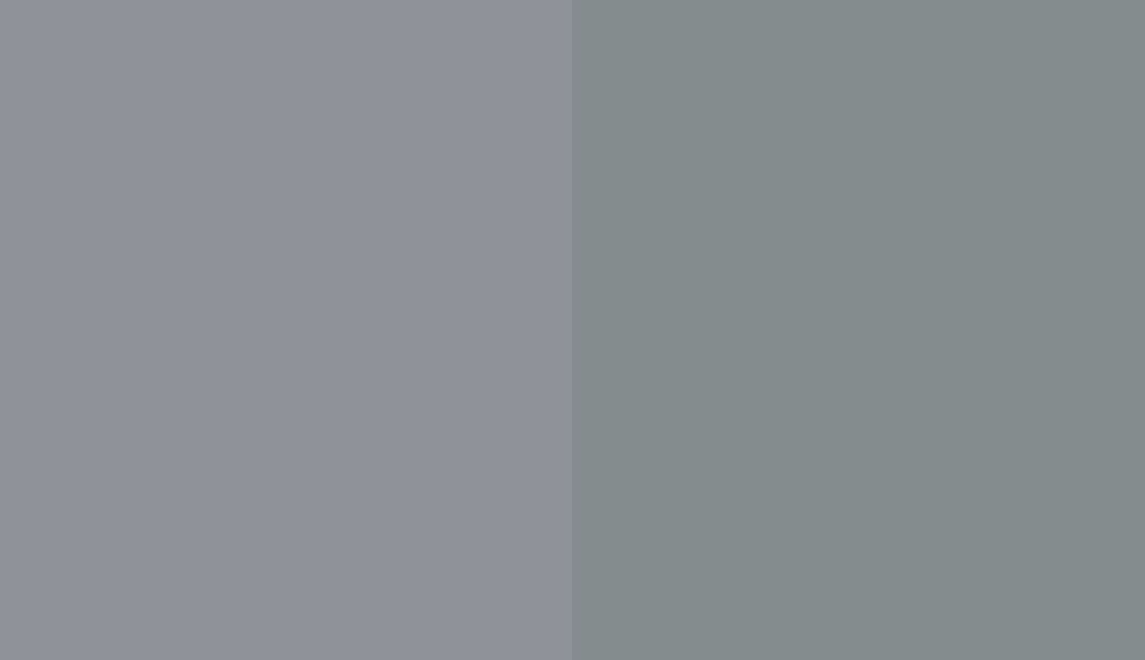 HEX #8D9299 to RAL 7046