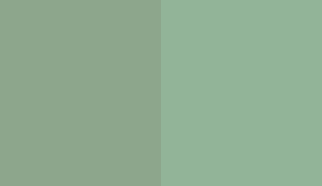 HEX #8DA68C to RAL 150 70 20