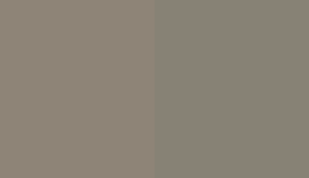 HEX #8E8477 to RAL 7048 HEX #8E8477 to RAL 7048