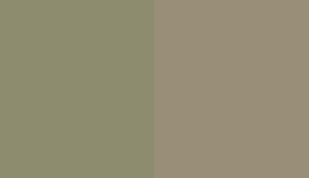 HEX #8E8C6F to RAL 7034