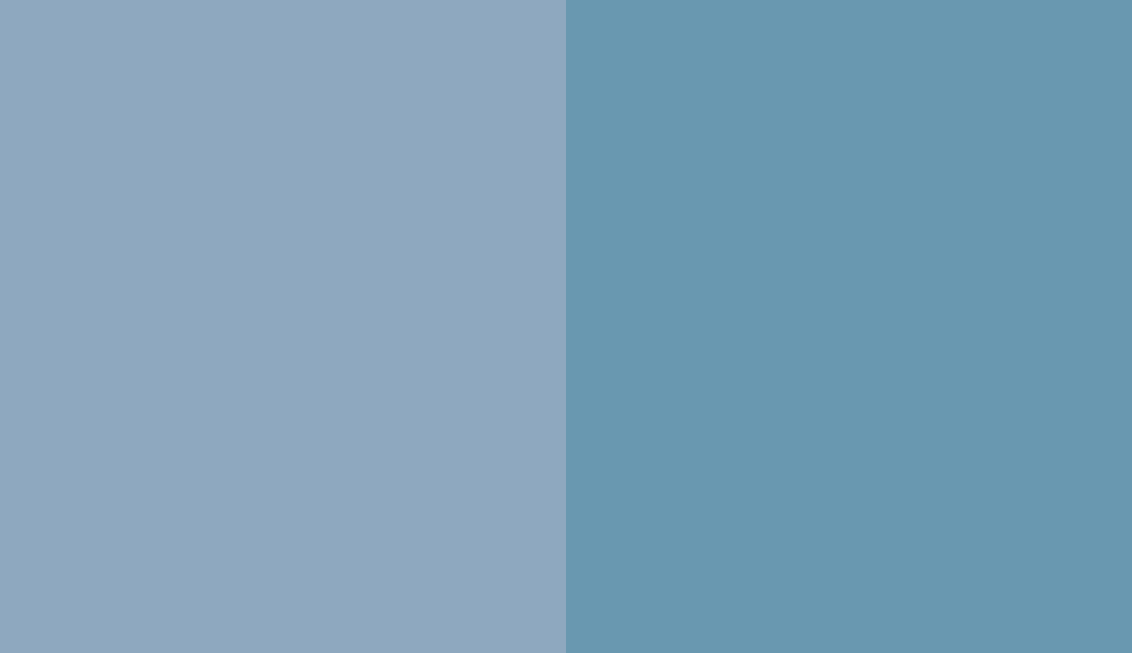 HEX #8EA8BF to RAL 5024