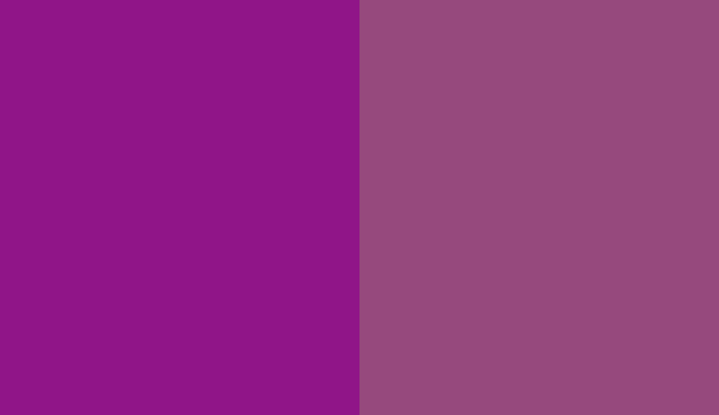 HEX #901588 to RAL 4006