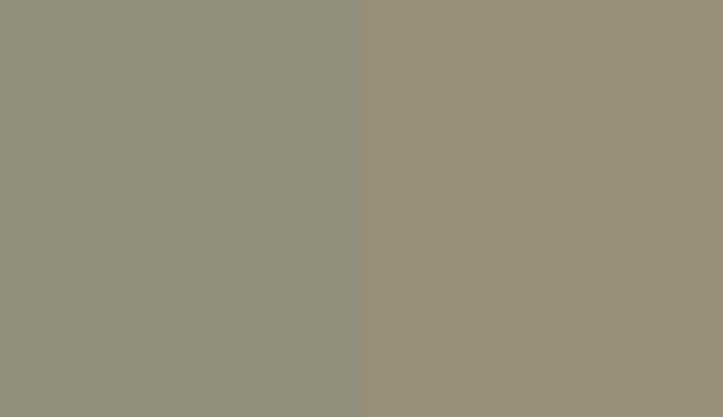 HEX #908F7B to RAL 7034 HEX #908F7B to RAL 7034