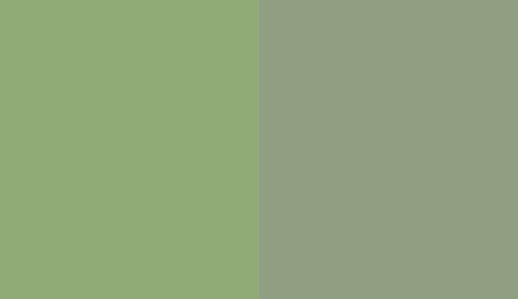 HEX #90AB76 to RAL 6021