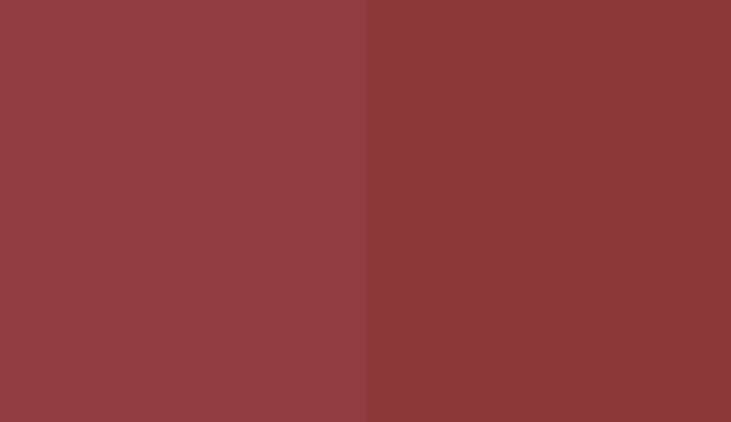 HEX #913D44 to RAL 3003 HEX #913D44 to RAL 3003