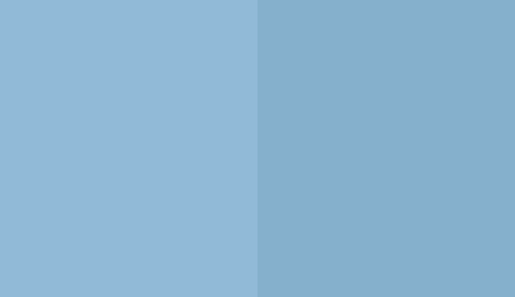 HEX #91BAD7 to RAL 250 70 20 HEX #91BAD7 to RAL 250 70 20