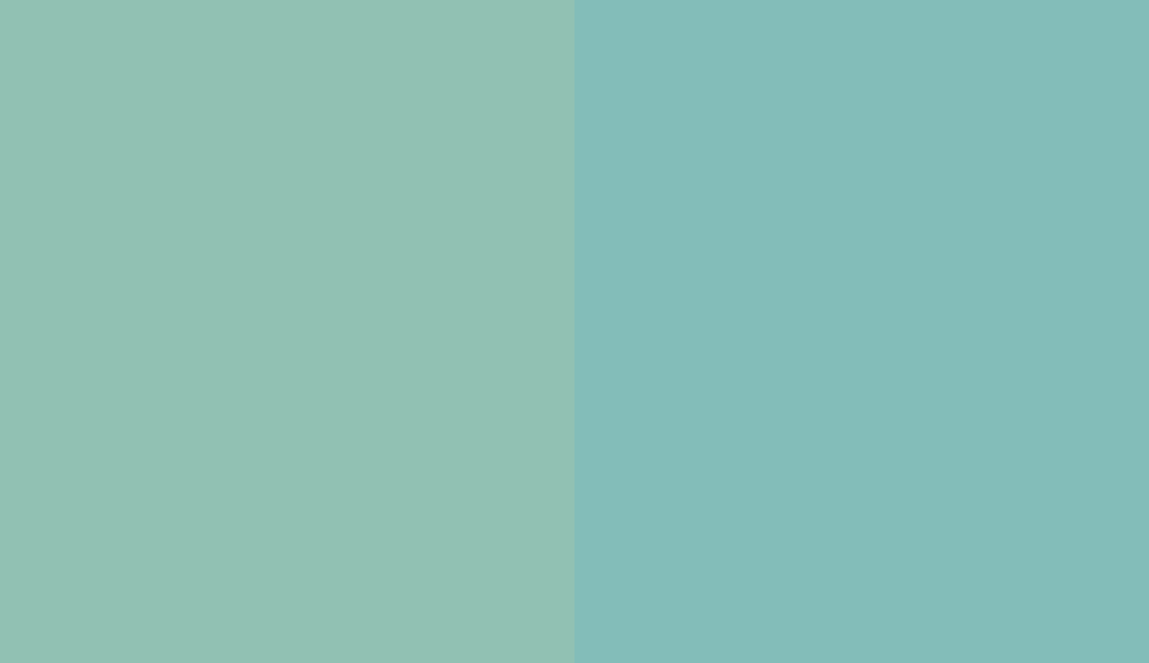 HEX #91C1B3 to RAL 6027 HEX #91C1B3 to RAL 6027