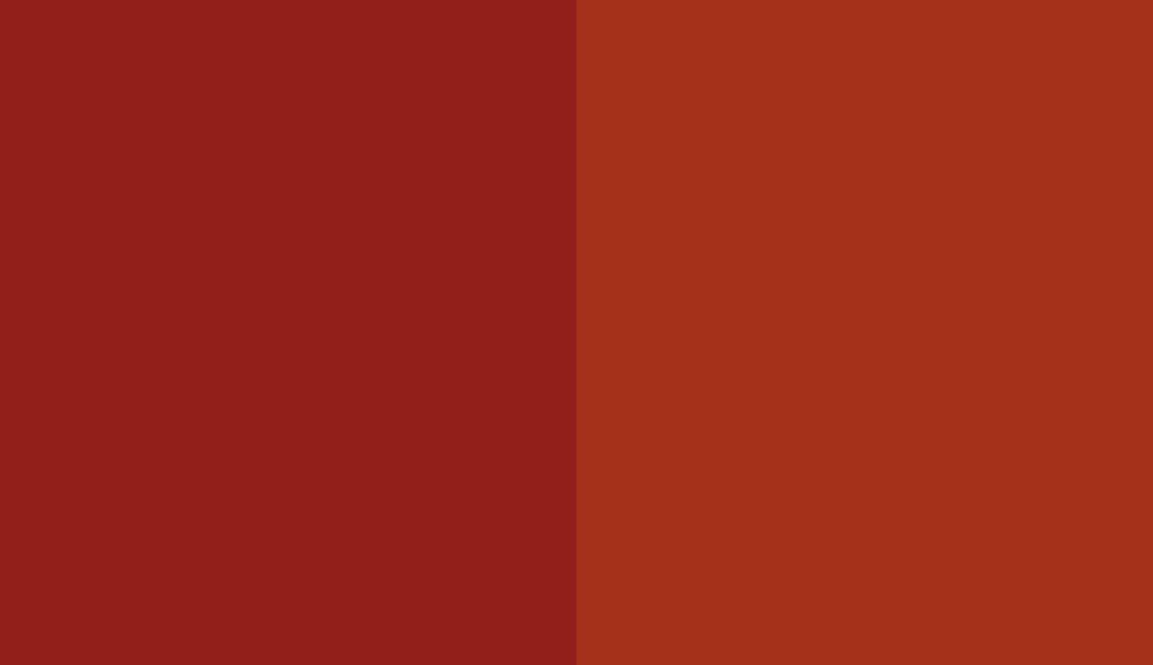 HEX #921F19 to RAL 040 40 60 HEX #921F19 to RAL 040 40 60