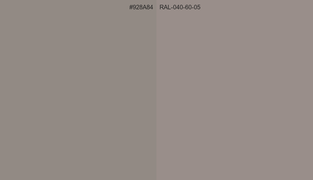 HEX Color 928A84 to RAL 040 60 05 Conversion comparison