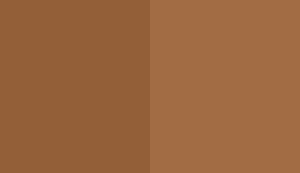 HEX #935F38 to RAL 8001