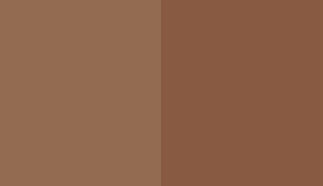 HEX #936B50 to RAL 8003 HEX #936B50 to RAL 8003