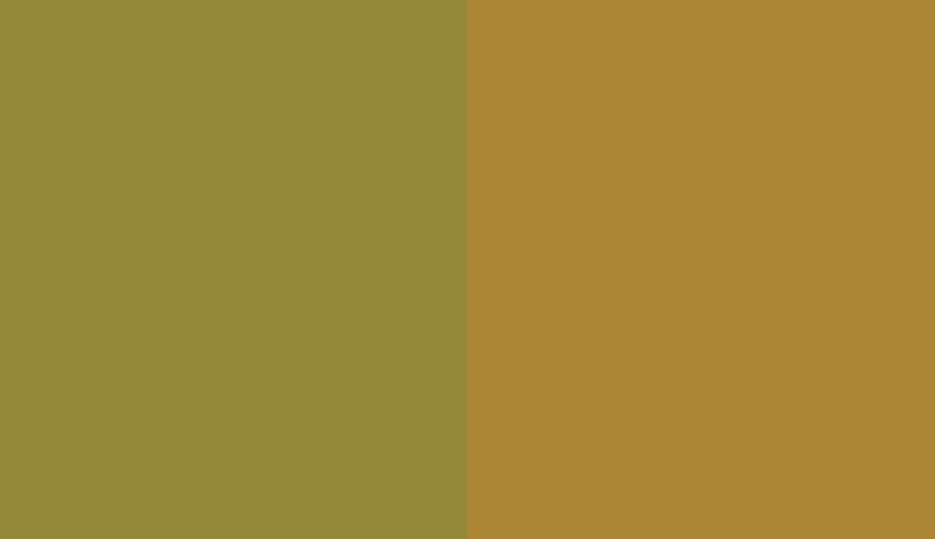 HEX #938939 to RAL 1027 HEX #938939 to RAL 1027