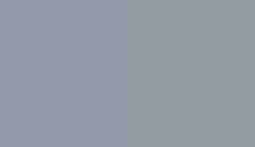 HEX #9399AB to RAL 7001
