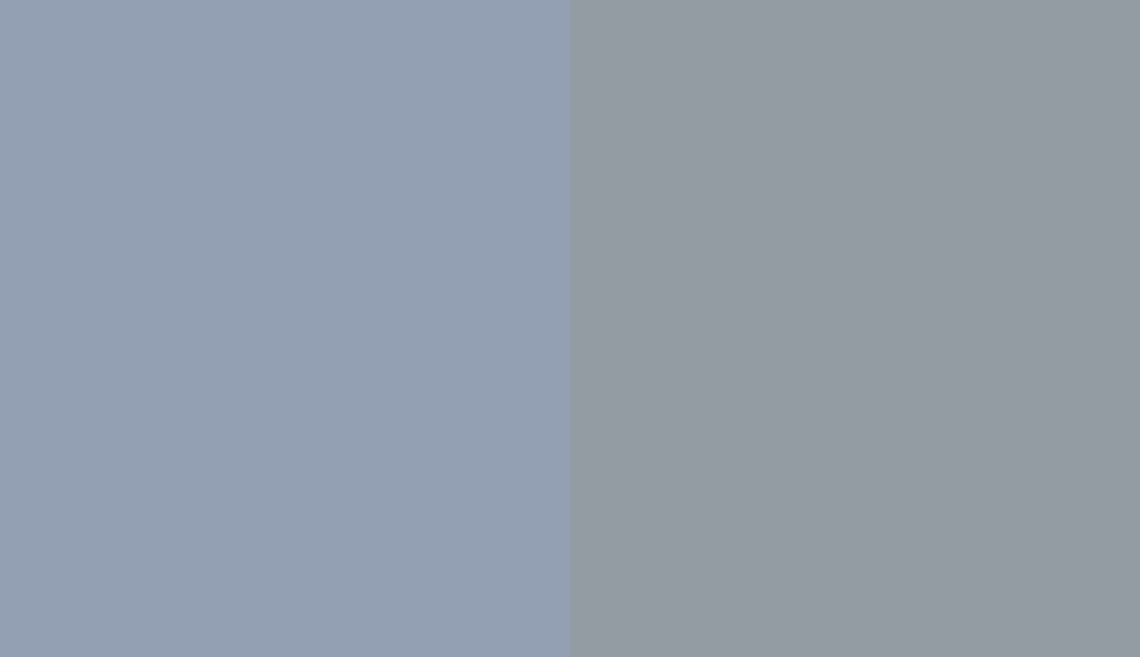 HEX #939FB3 to RAL 7001
