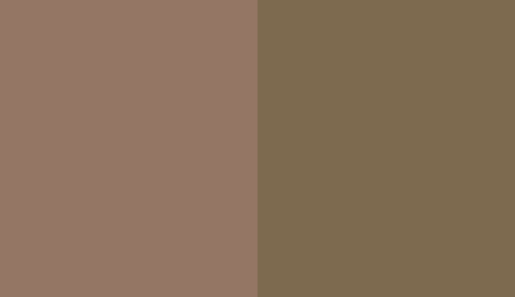 HEX #947664 to RAL 7008