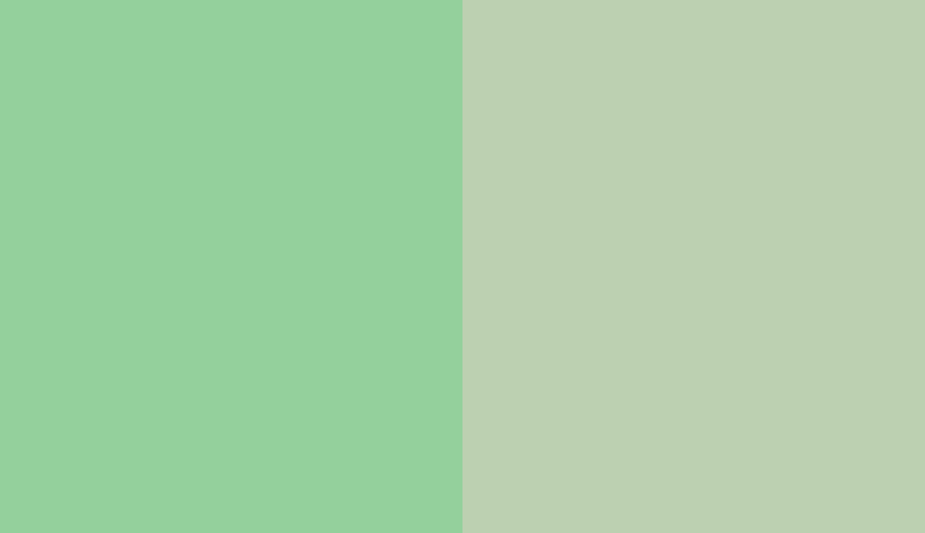 HEX #94D09C to RAL 6019