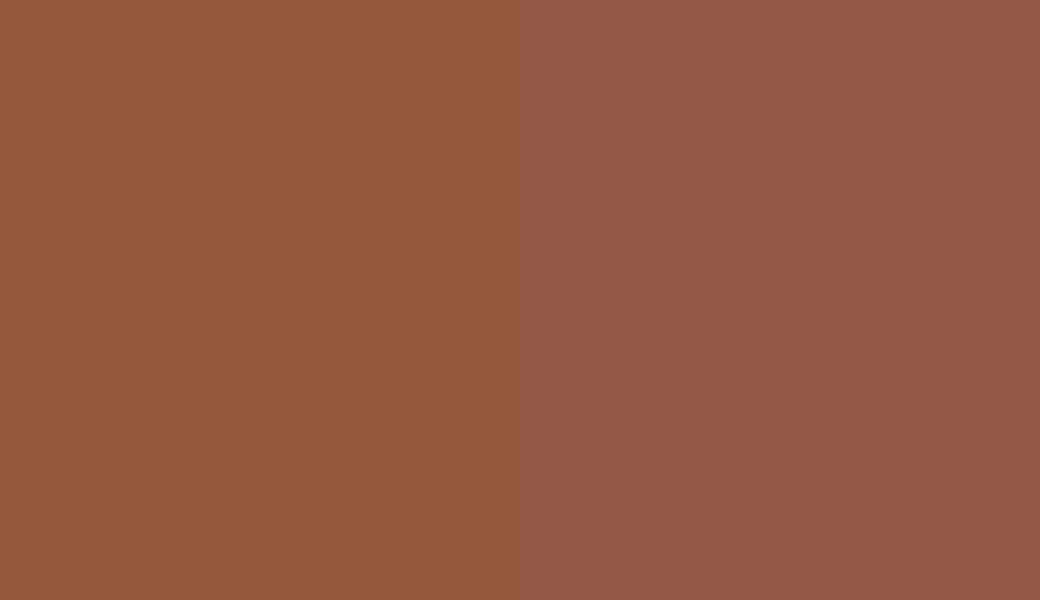 HEX #95583C to RAL 8004