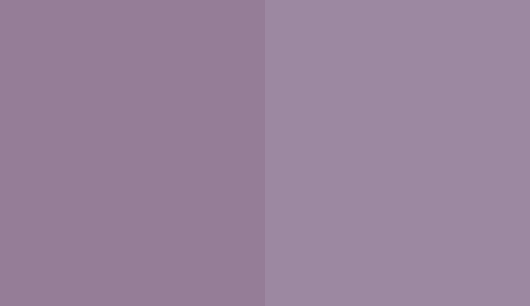 HEX #957D97 to RAL 320 60 15 HEX #957D97 to RAL 320 60 15