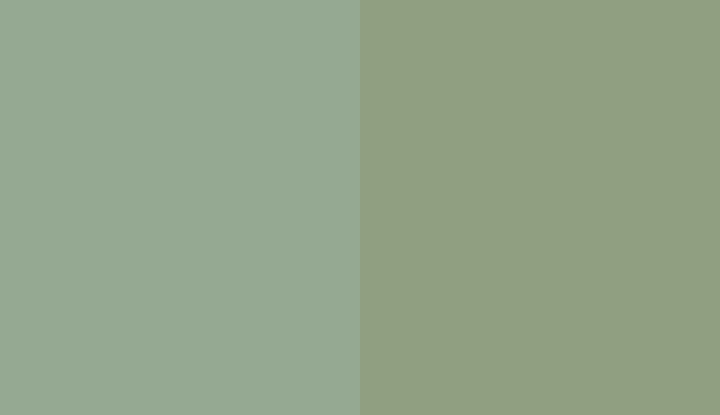HEX #95A992 to RAL 6021