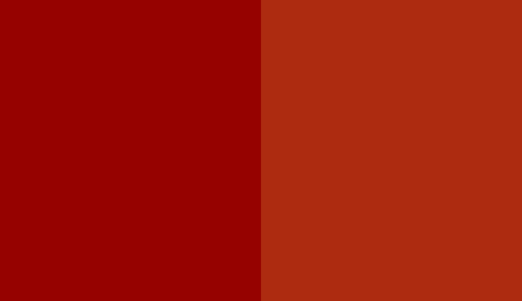 HEX #960200 to RAL 040 40 67