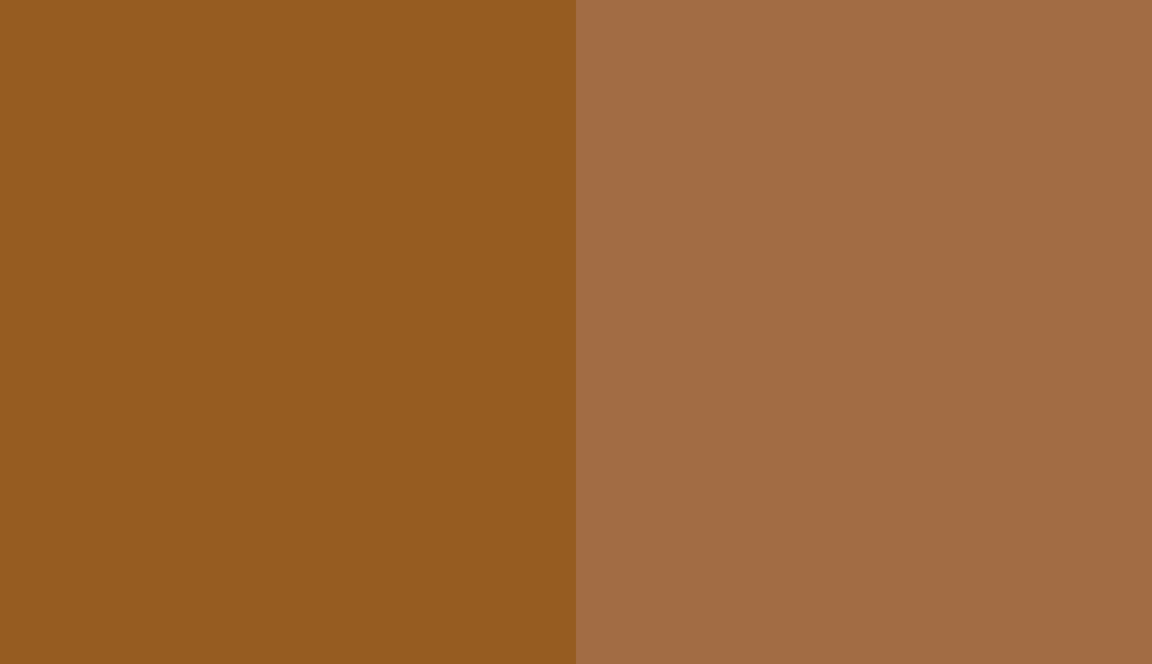HEX #965C21 to RAL 8001 HEX #965C21 to RAL 8001