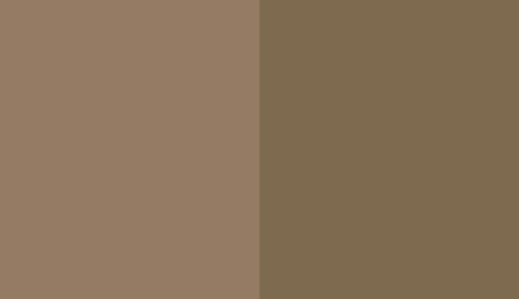 HEX #967B64 to RAL 7008