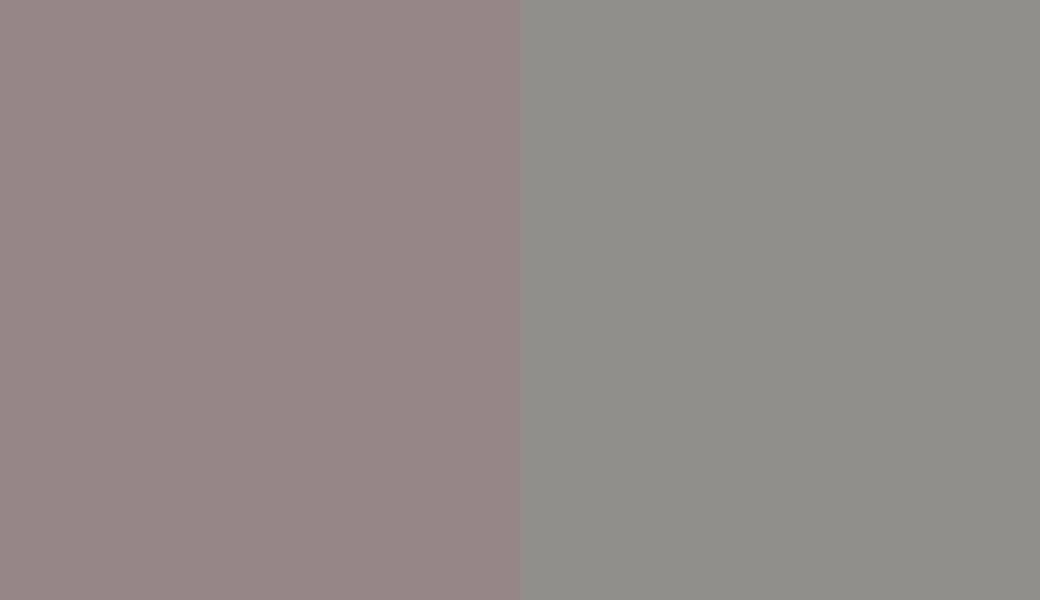 HEX #968687 to RAL 9007 HEX #968687 to RAL 9007