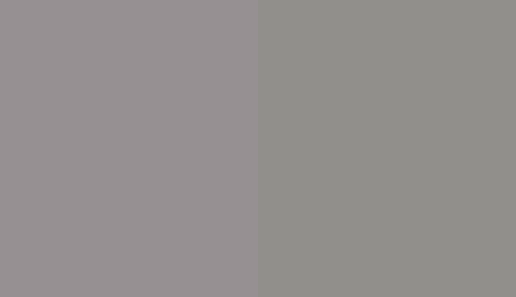 HEX #969092 to RAL 9007