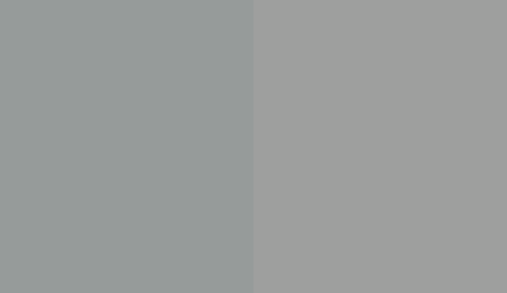 HEX #969B9A to RAL 9022
