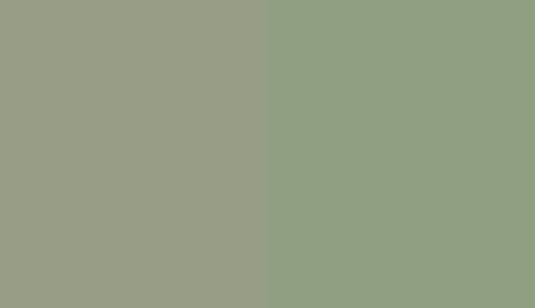 HEX #969E85 to RAL 6021