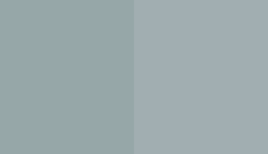 HEX #96A7A8 to RAL 220 70 05