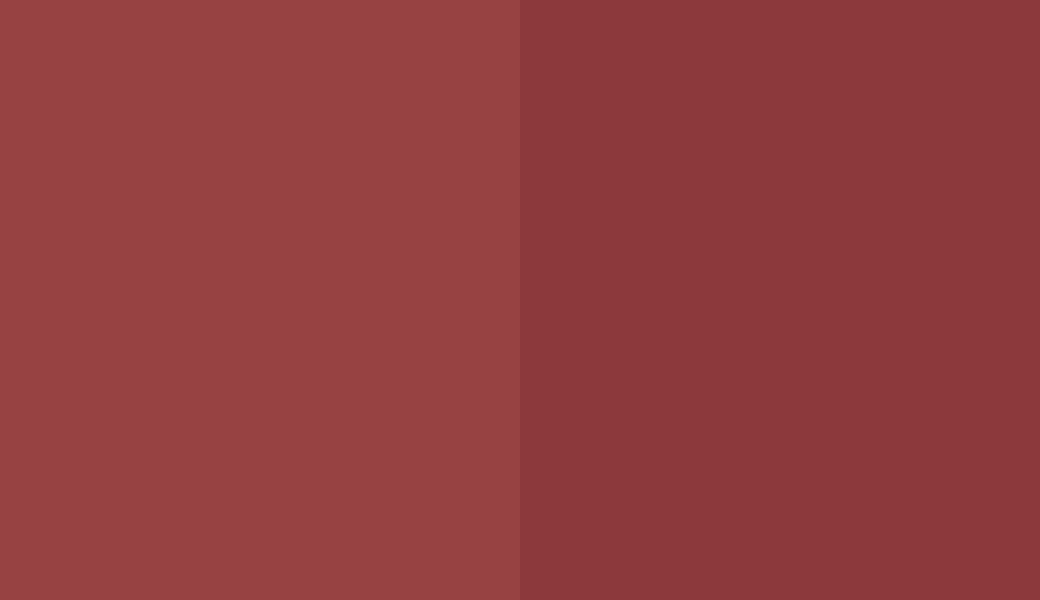 HEX #974242 to RAL 3003