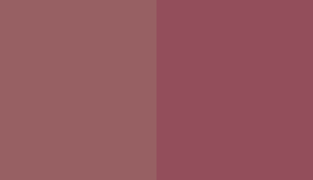 HEX #976063 to RAL 4002 HEX #976063 to RAL 4002